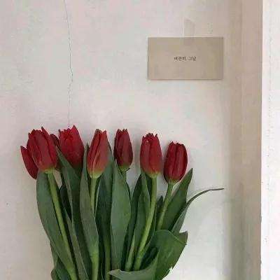 择妖记游戏下载